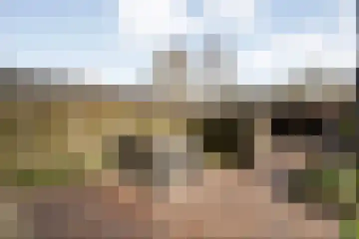 de Bente 33 a Dalen thumbnail 45