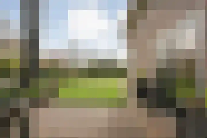 de Bente 33 a Dalen thumbnail 46