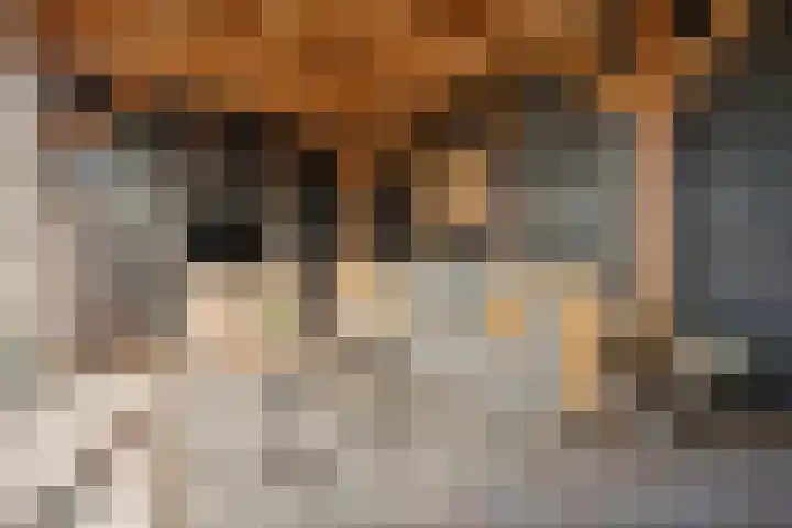 de Bente 33 a Dalen thumbnail 53