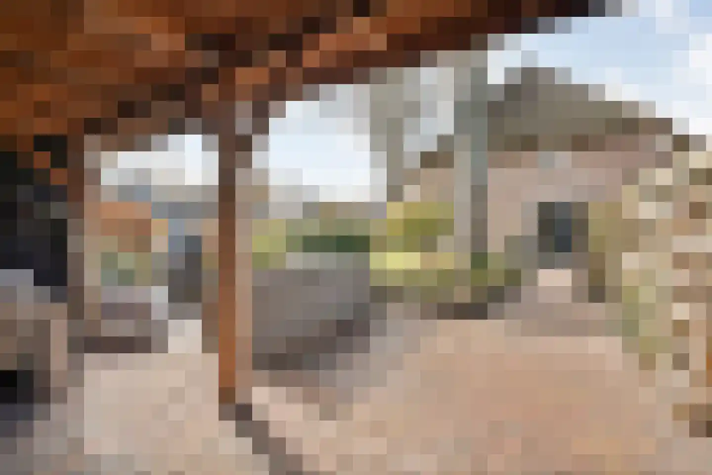 de Bente 33 a Dalen thumbnail 54