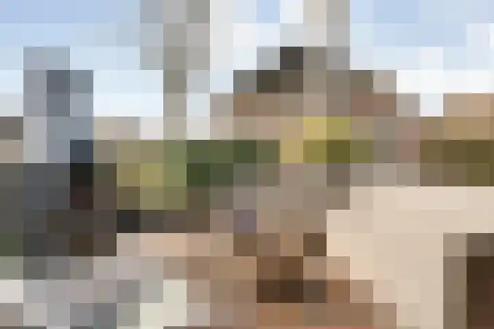 de Bente 33 a Dalen thumbnail 55