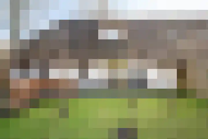 de Bente 33 a Dalen thumbnail 59