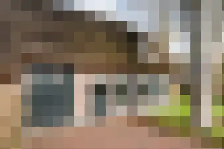 de Bente 33 a Dalen thumbnail 6