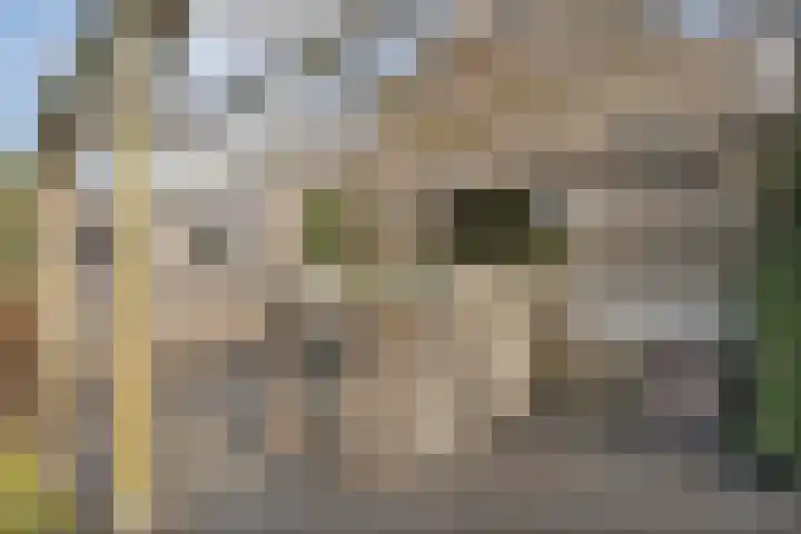de Bente 33 a Dalen thumbnail 60