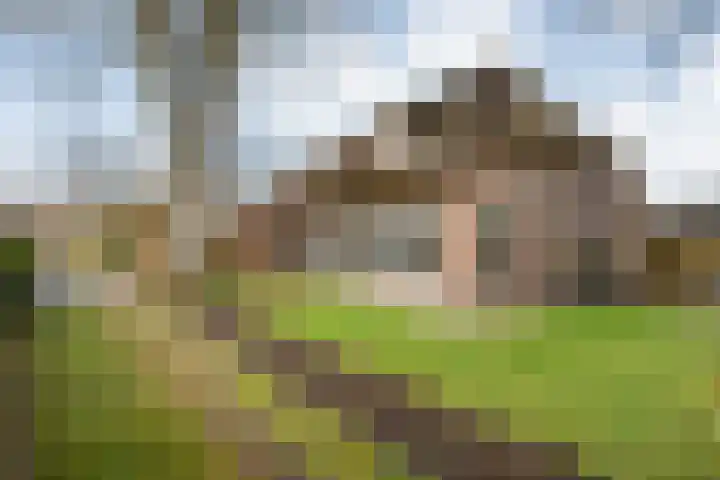 de Bente 33 a Dalen thumbnail 7