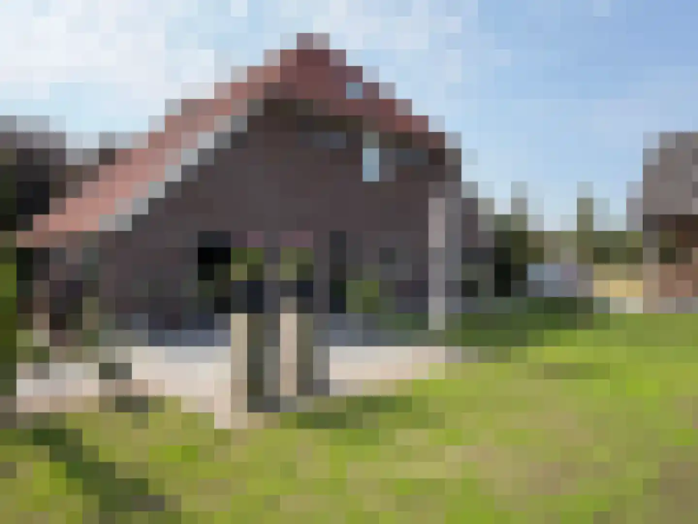 de Bente 35 a Dalen thumbnail 10