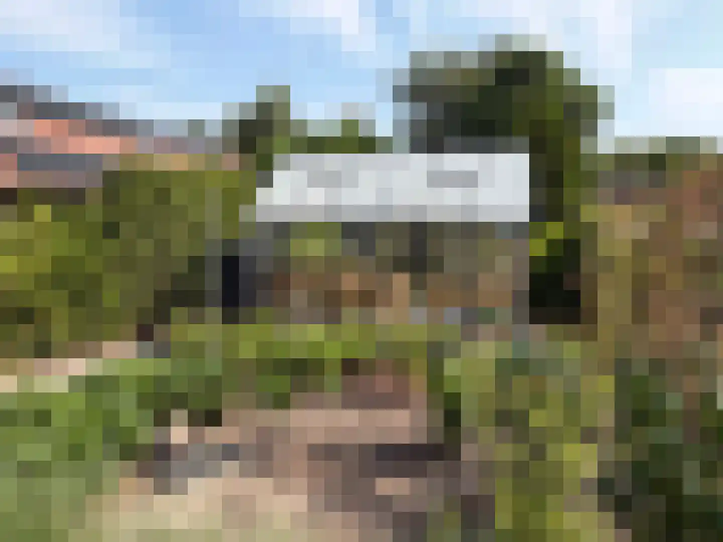 de Bente 35 a Dalen thumbnail 100