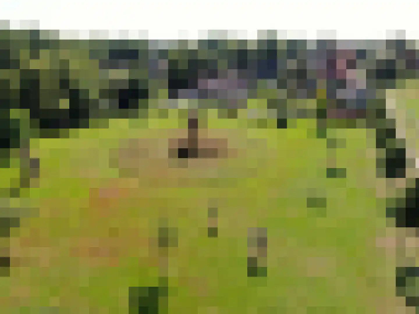 de Bente 35 a Dalen thumbnail 103