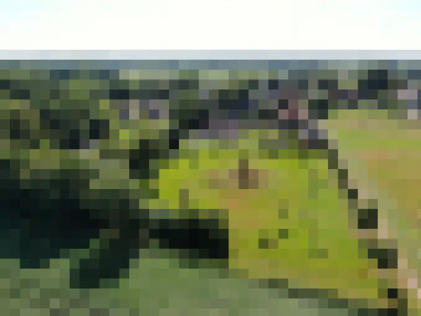 de Bente 35 a Dalen thumbnail 104