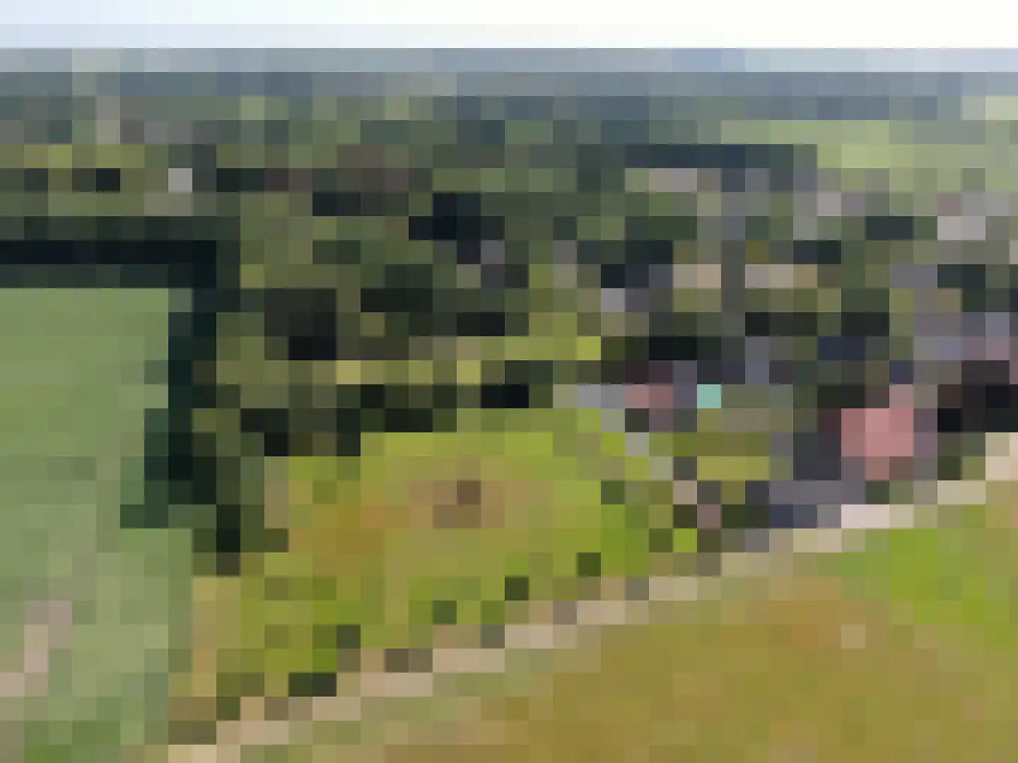 de Bente 35 a Dalen thumbnail 105