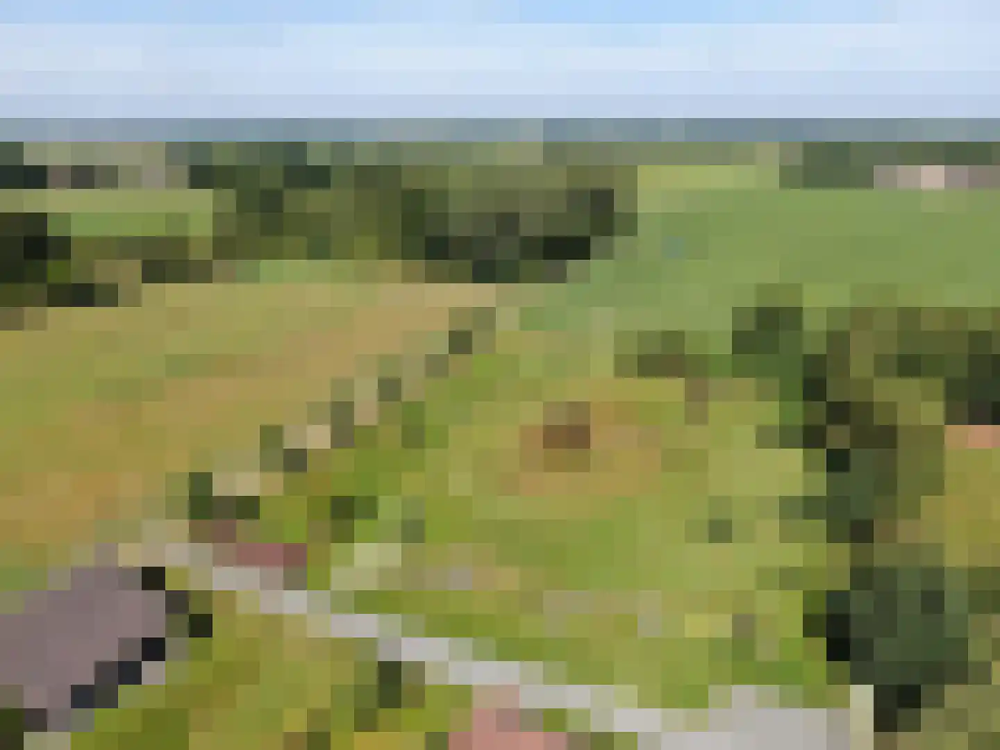 de Bente 35 a Dalen thumbnail 106