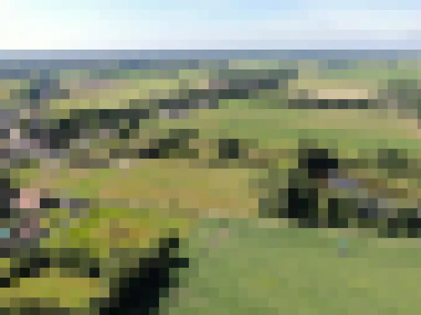 de Bente 35 a Dalen thumbnail 107