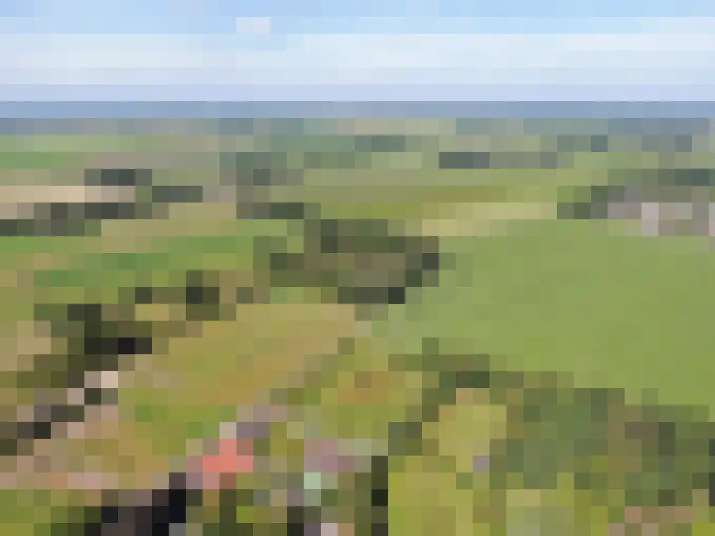 de Bente 35 a Dalen thumbnail 108