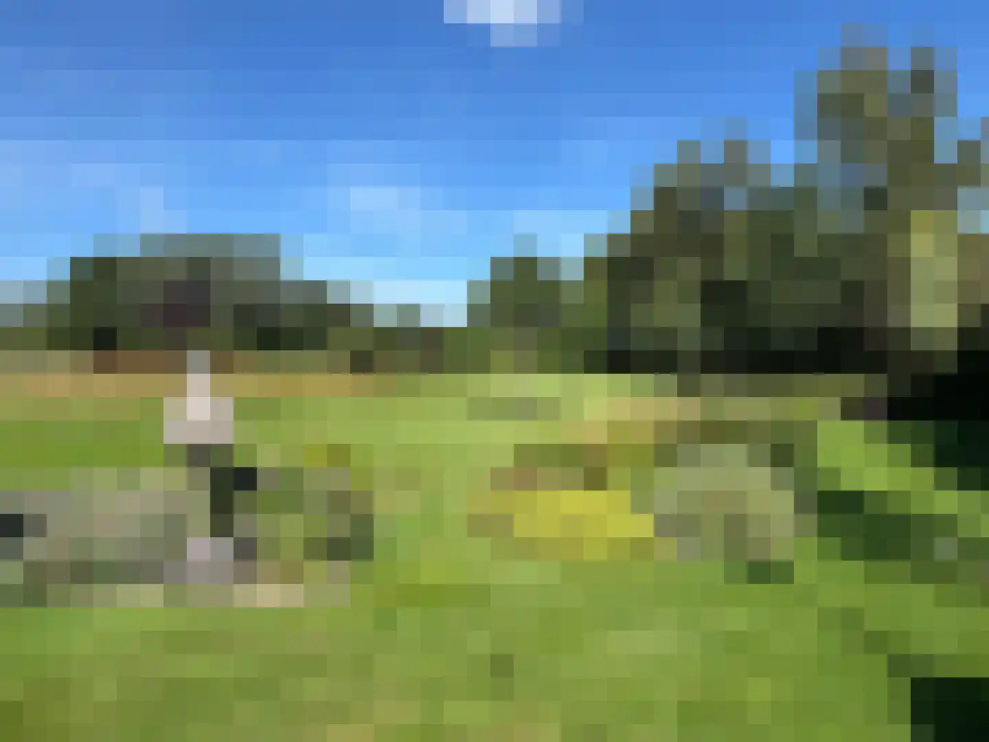 de Bente 35 a Dalen thumbnail 15