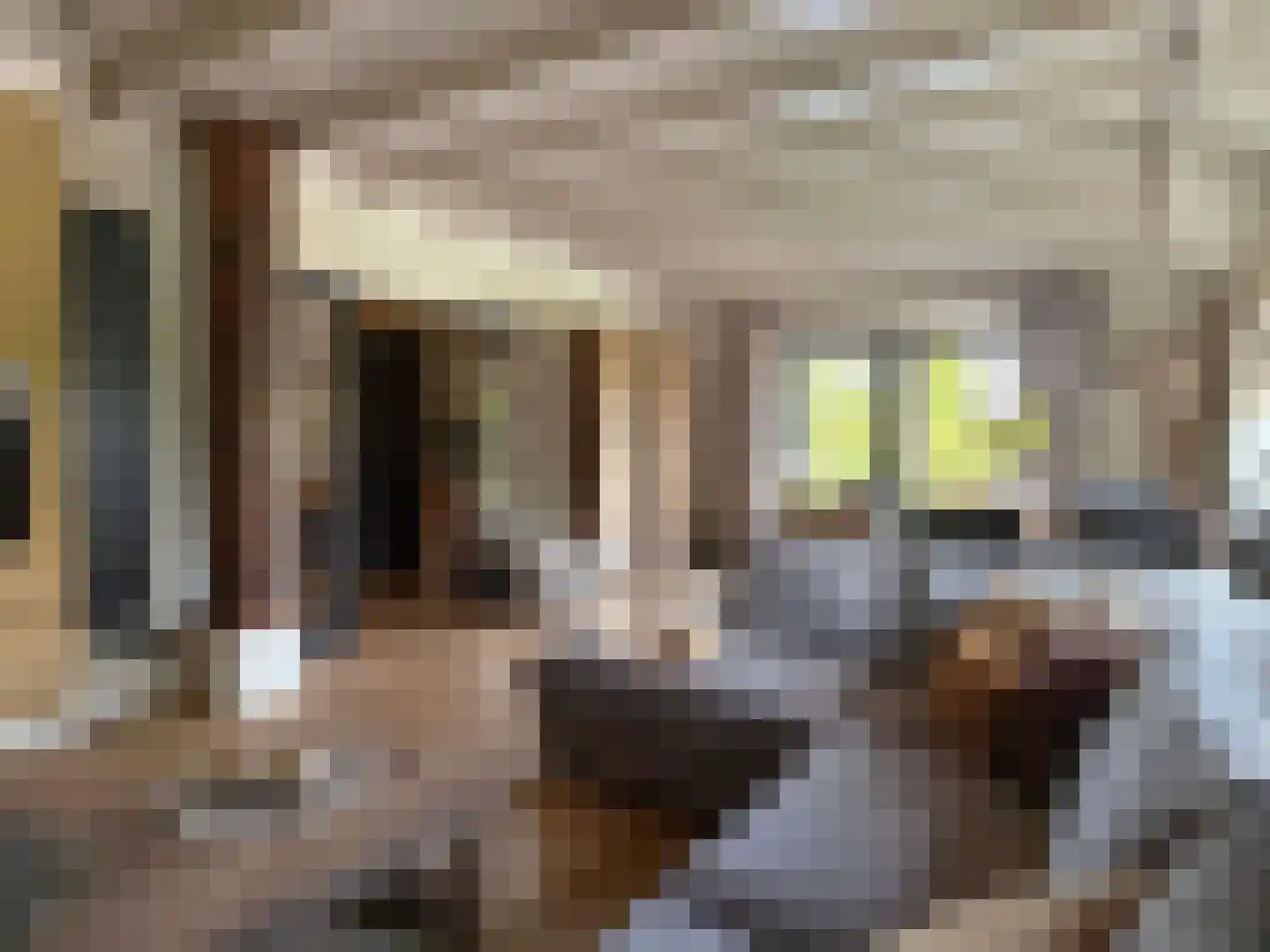 de Bente 35 a Dalen thumbnail 19