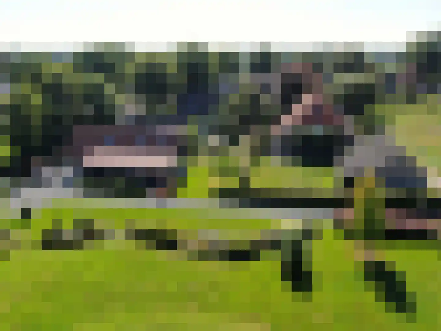 de Bente 35 a Dalen foto 2