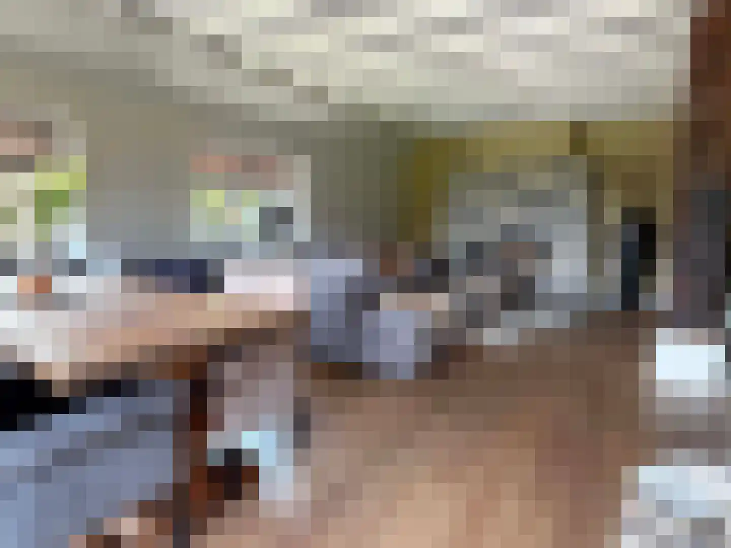 de Bente 35 a Dalen thumbnail 21