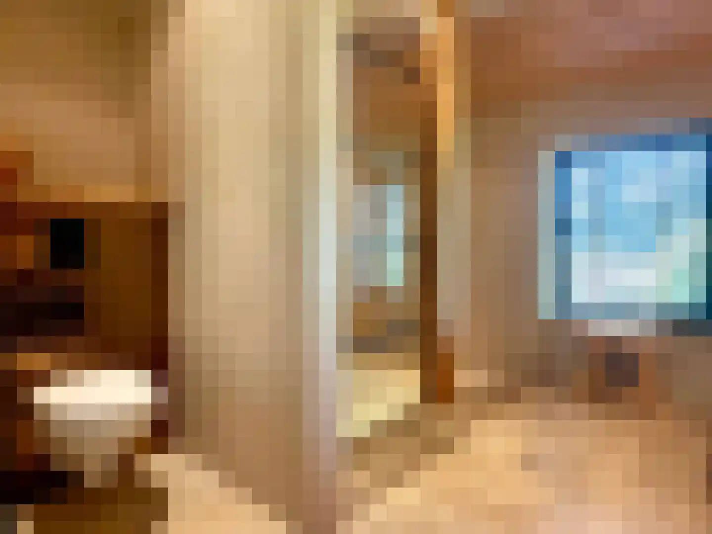 de Bente 35 a Dalen thumbnail 30
