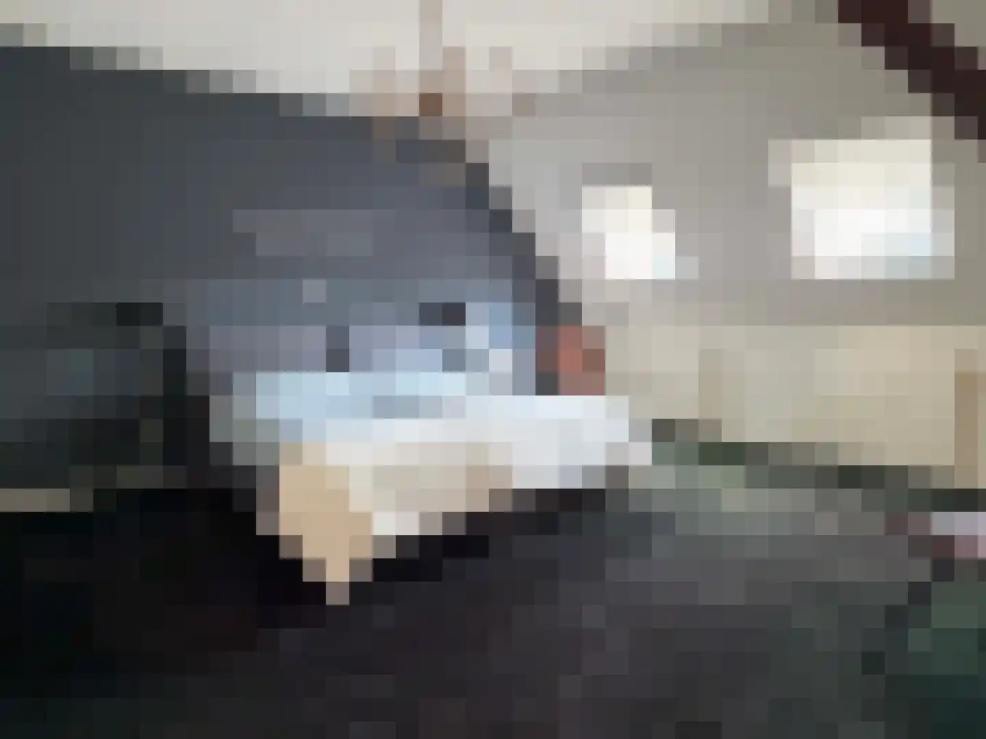 de Bente 35 a Dalen thumbnail 35