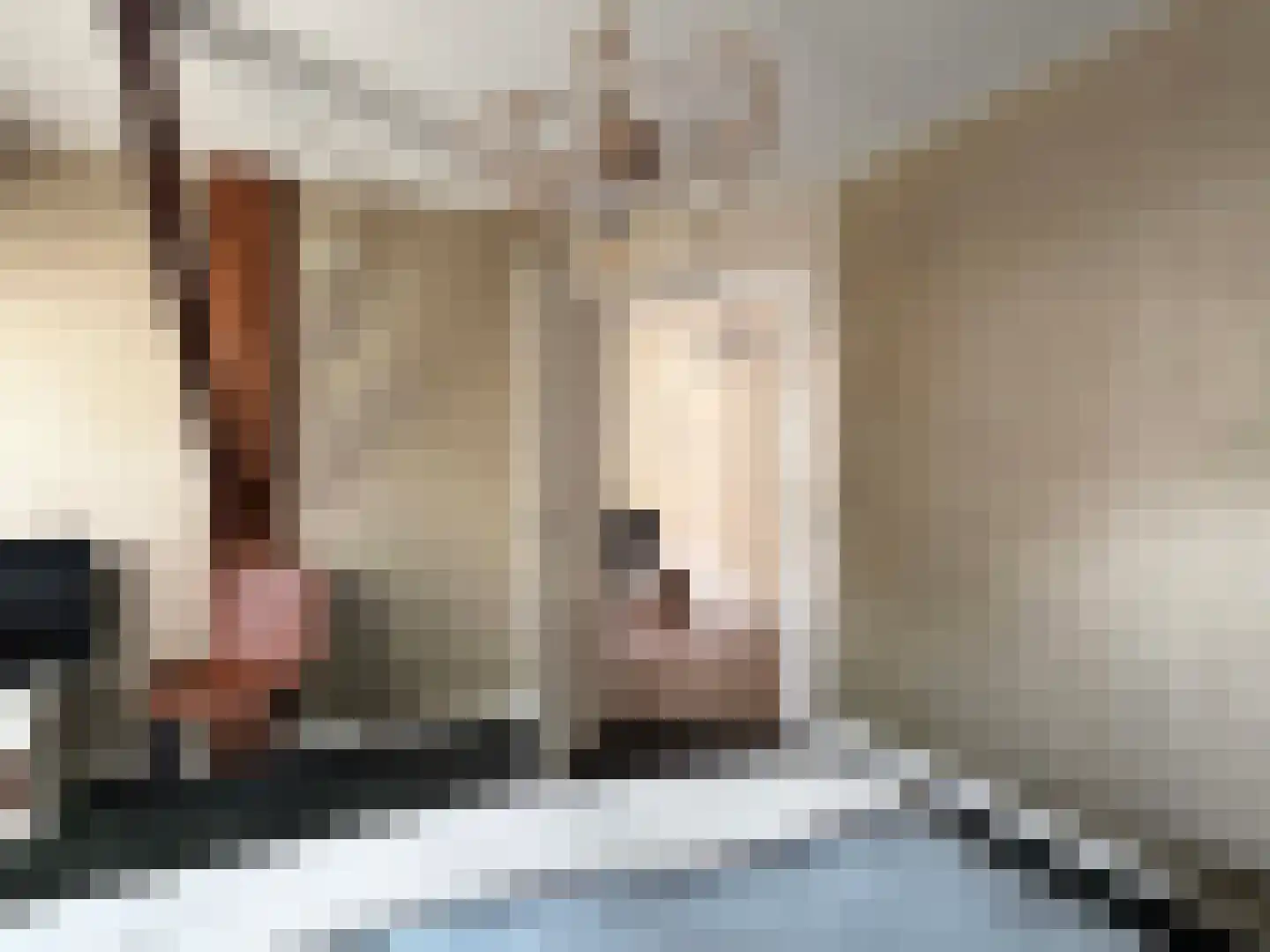 de Bente 35 a Dalen thumbnail 36