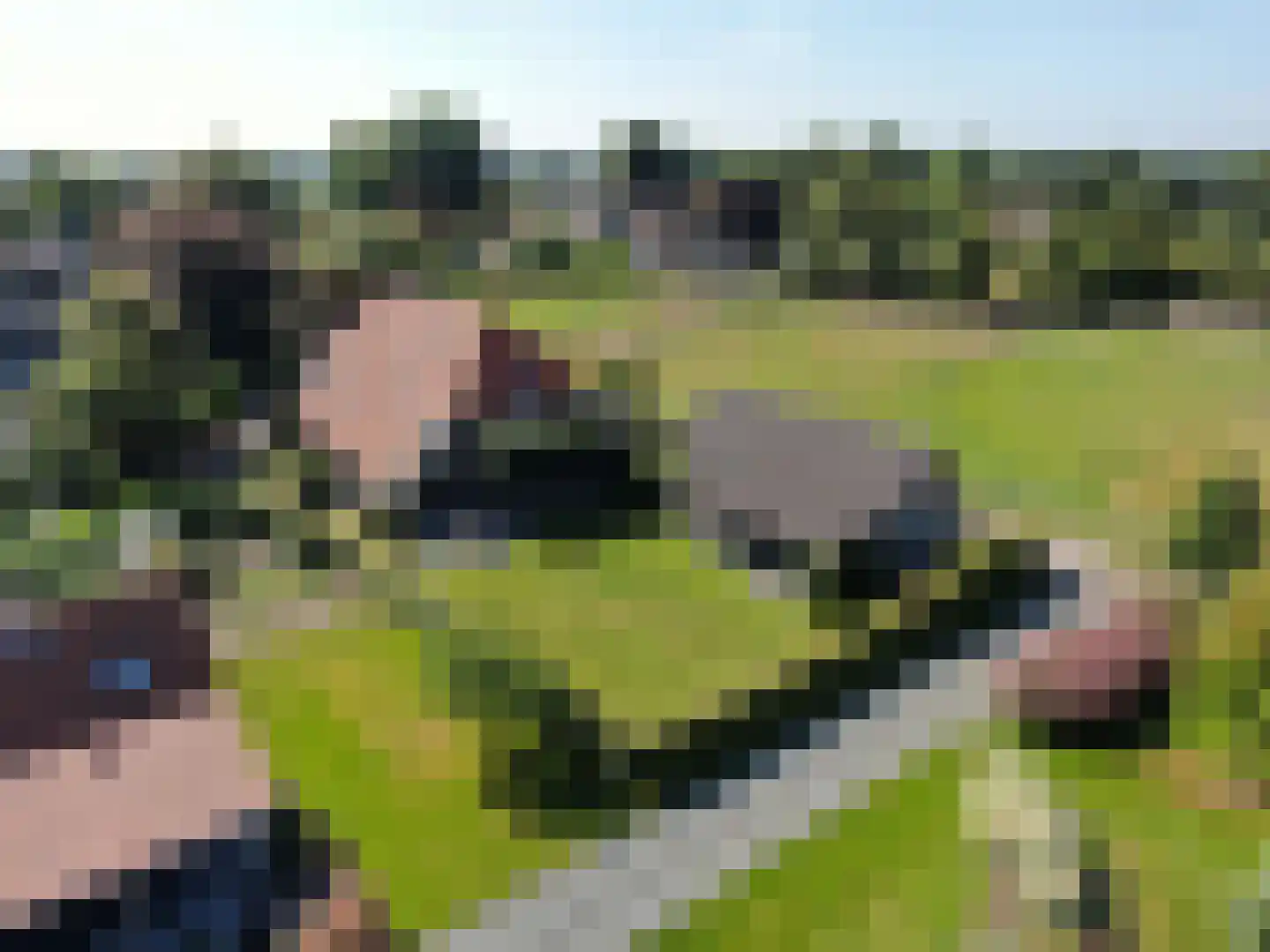 de Bente 35 a Dalen thumbnail 4