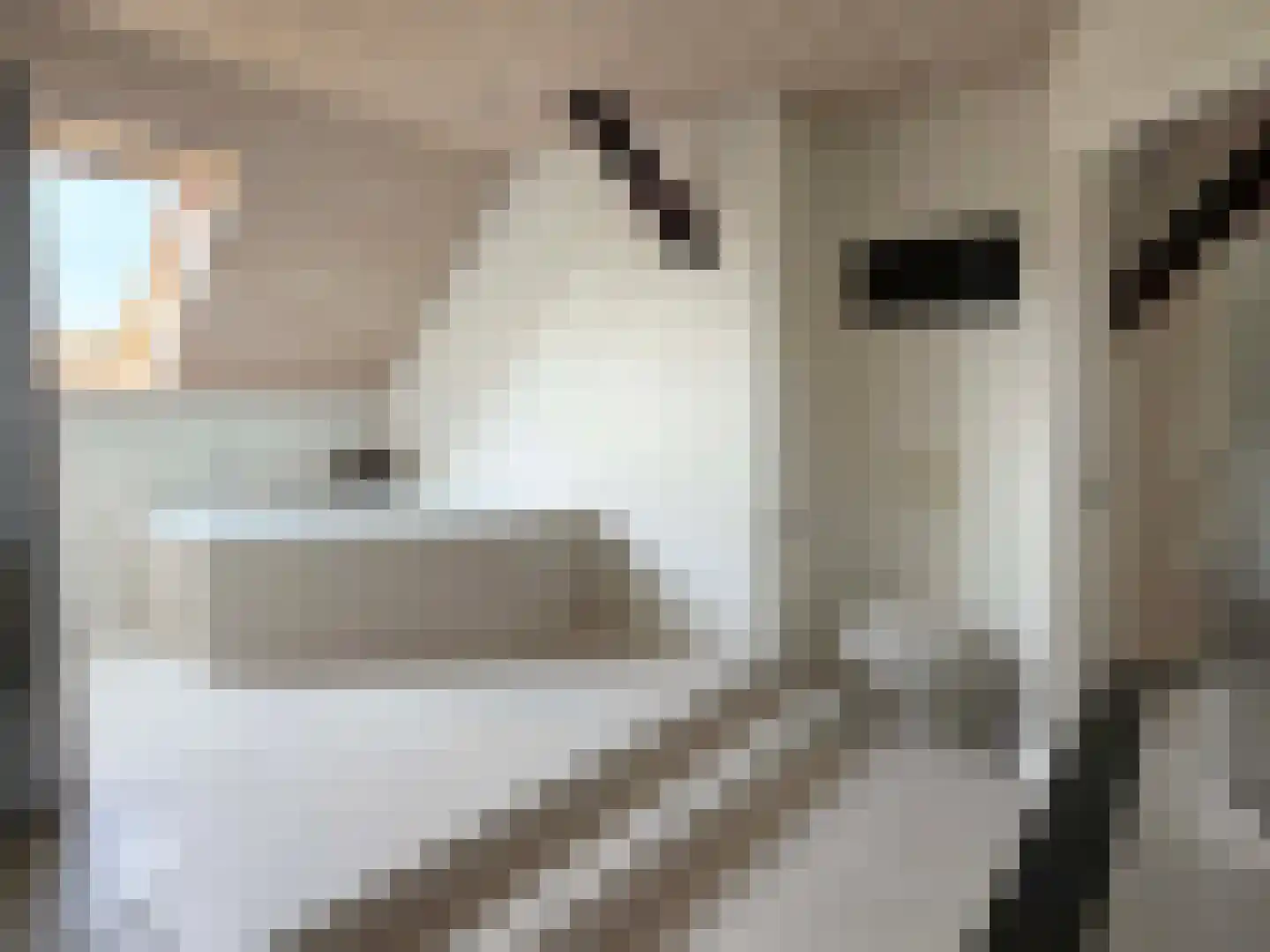 de Bente 35 a Dalen thumbnail 40