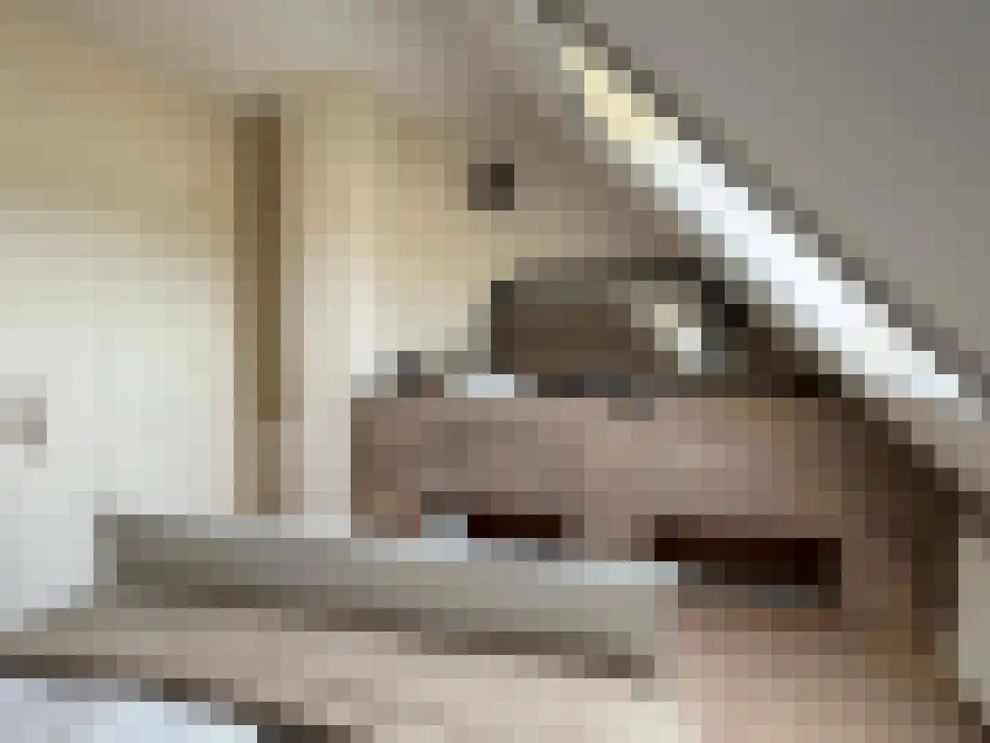 de Bente 35 a Dalen thumbnail 44