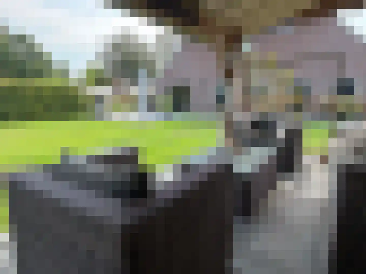 de Bente 35 a Dalen thumbnail 47