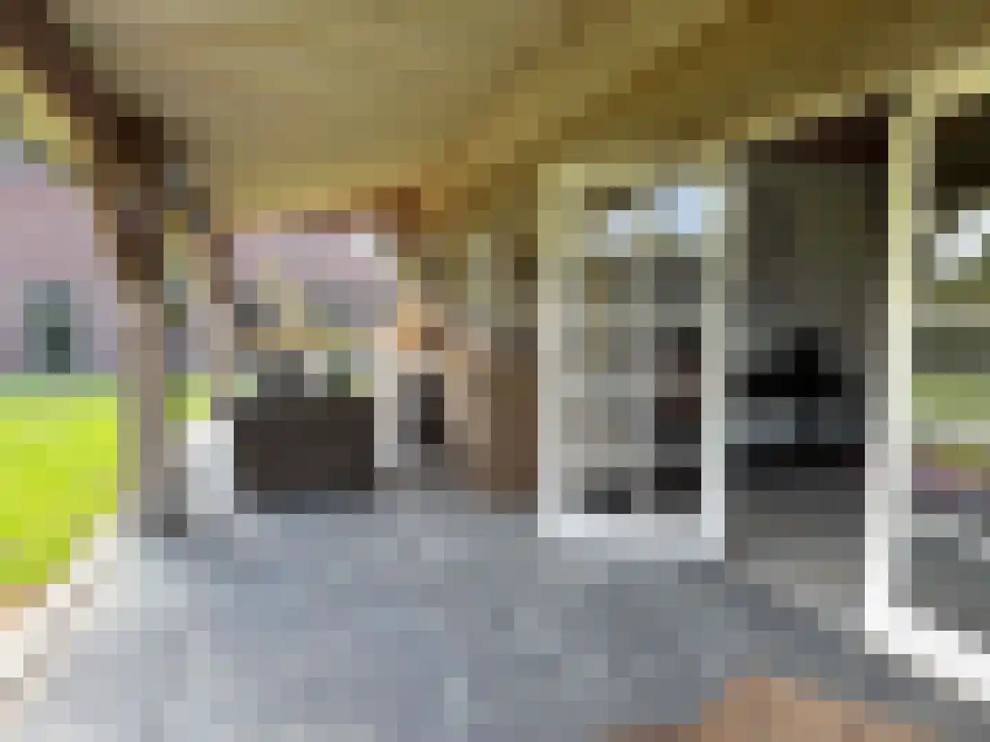 de Bente 35 a Dalen thumbnail 48