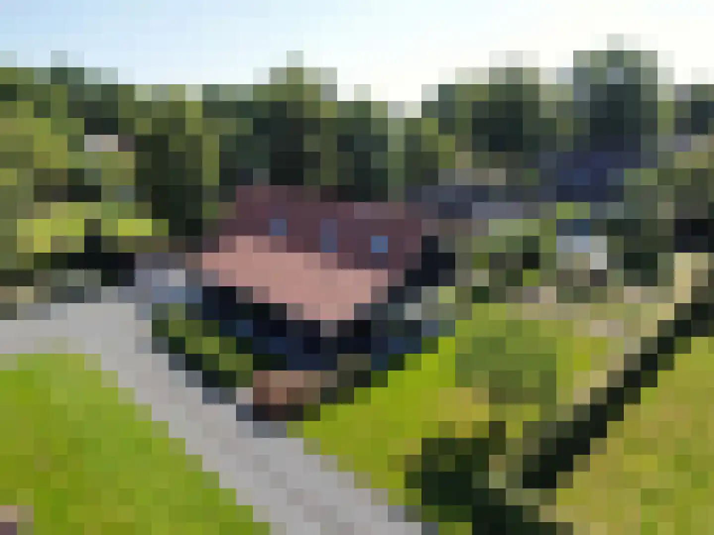 de Bente 35 a Dalen thumbnail 5