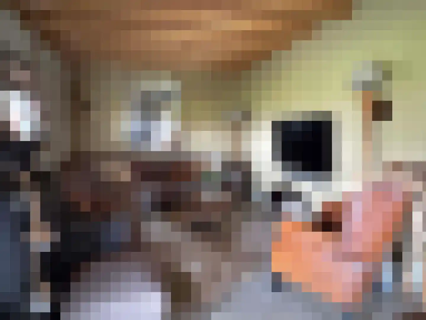 de Bente 35 a Dalen thumbnail 58