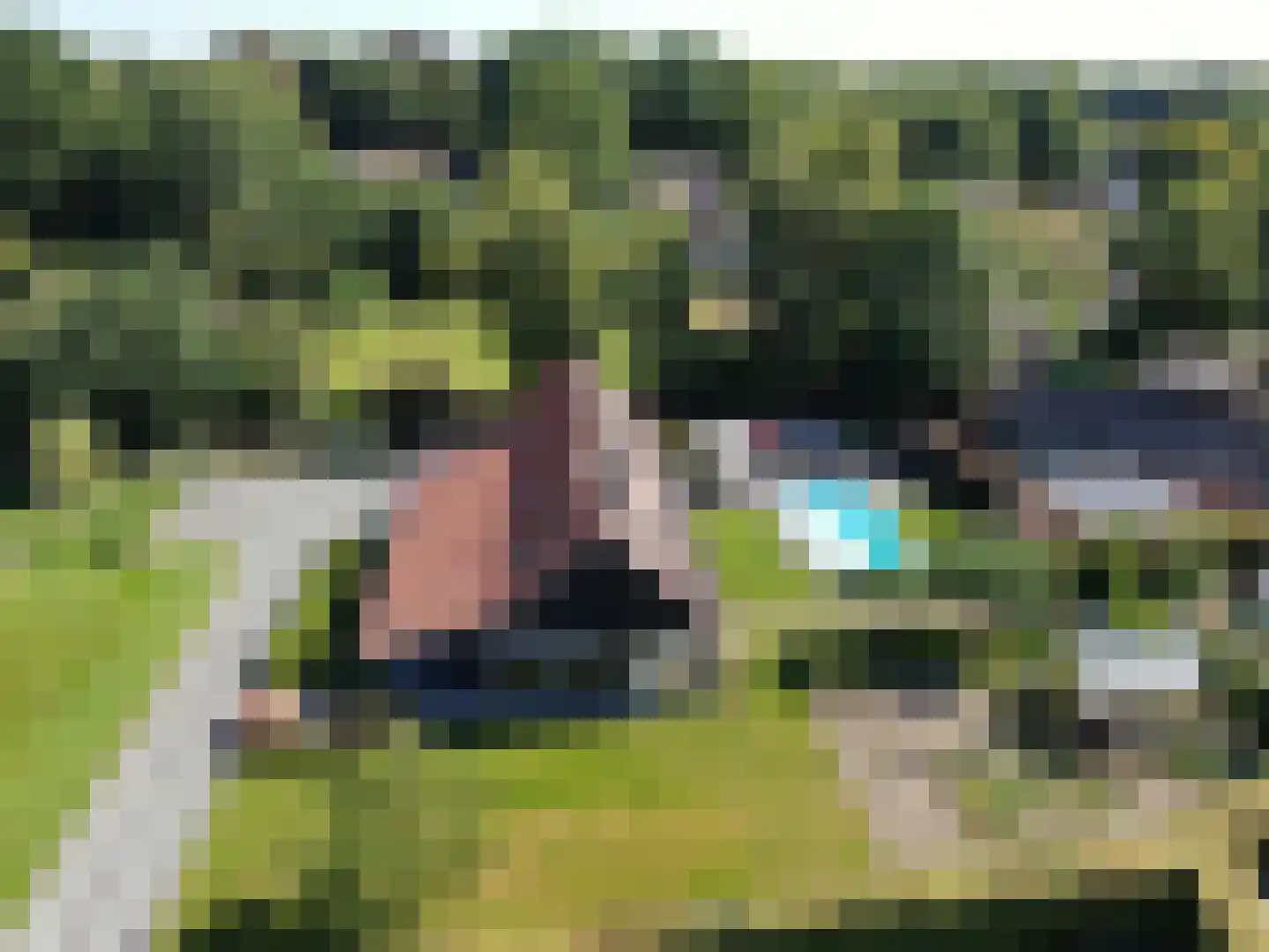 de Bente 35 a Dalen thumbnail 6