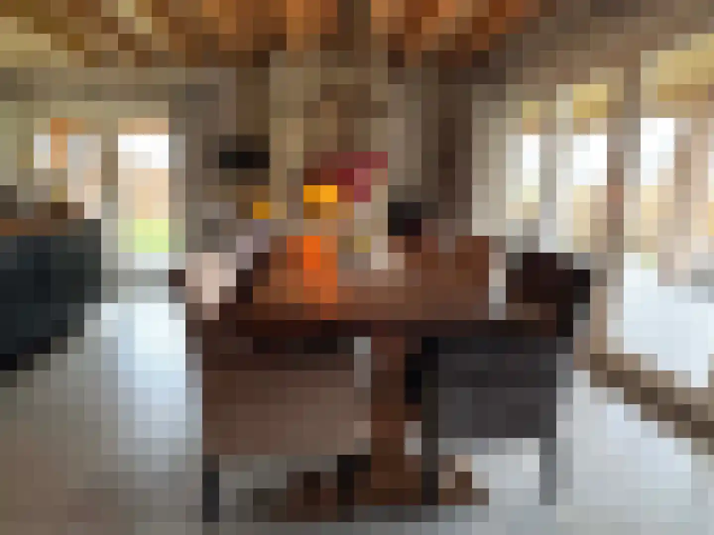 de Bente 35 a Dalen thumbnail 60