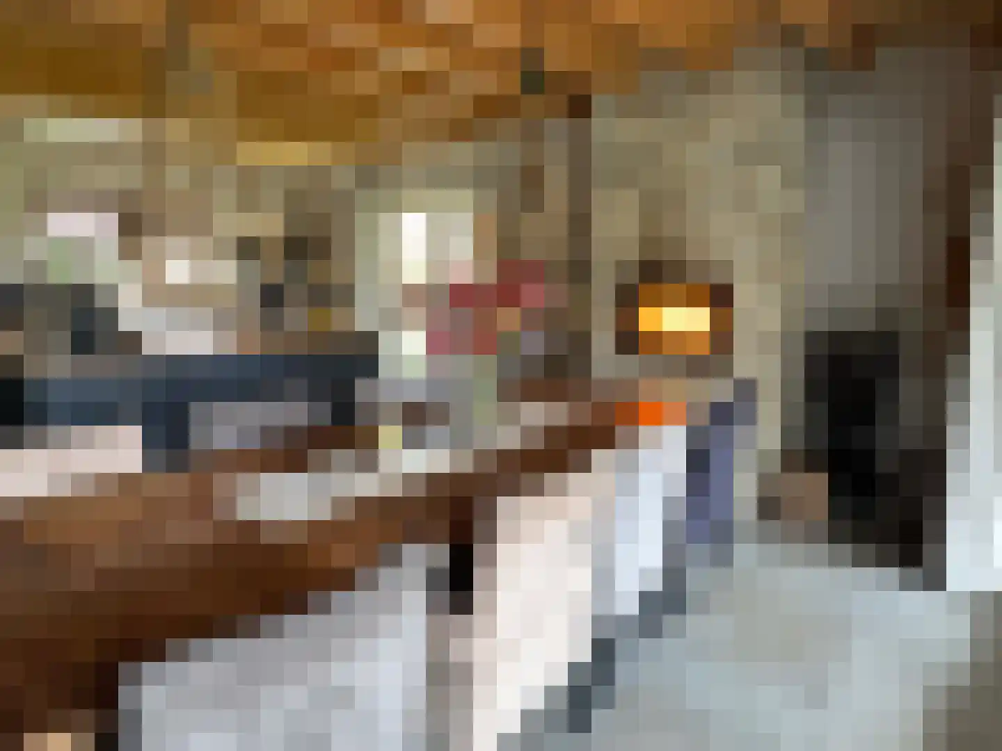 de Bente 35 a Dalen thumbnail 62