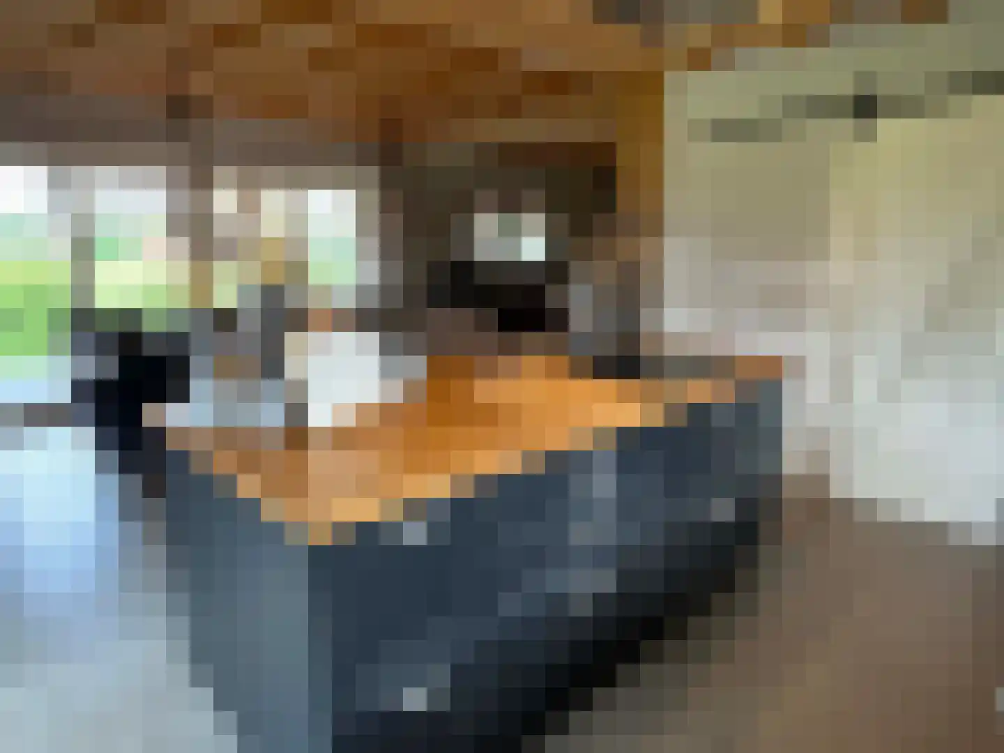 de Bente 35 a Dalen thumbnail 65