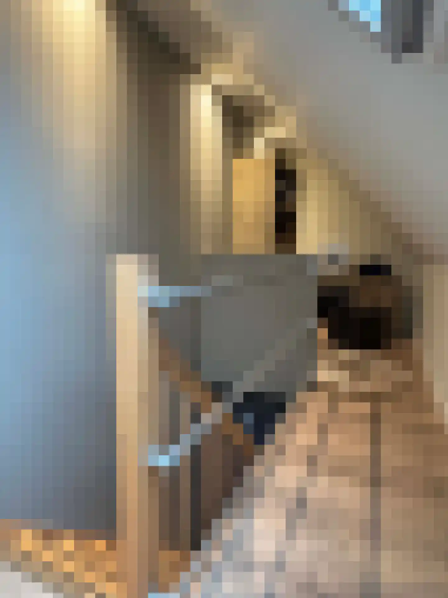 de Bente 35 a Dalen thumbnail 69