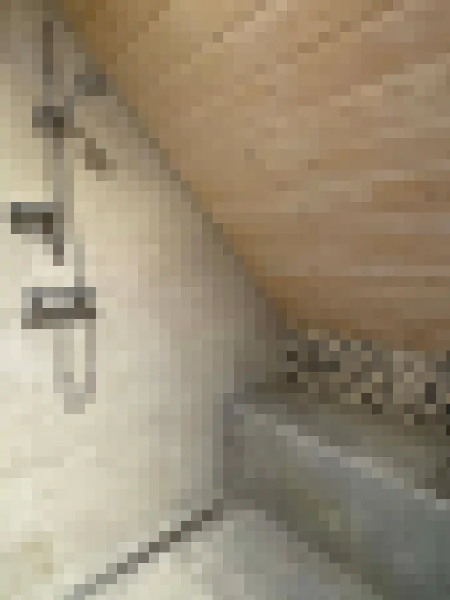 de Bente 35 a Dalen thumbnail 73