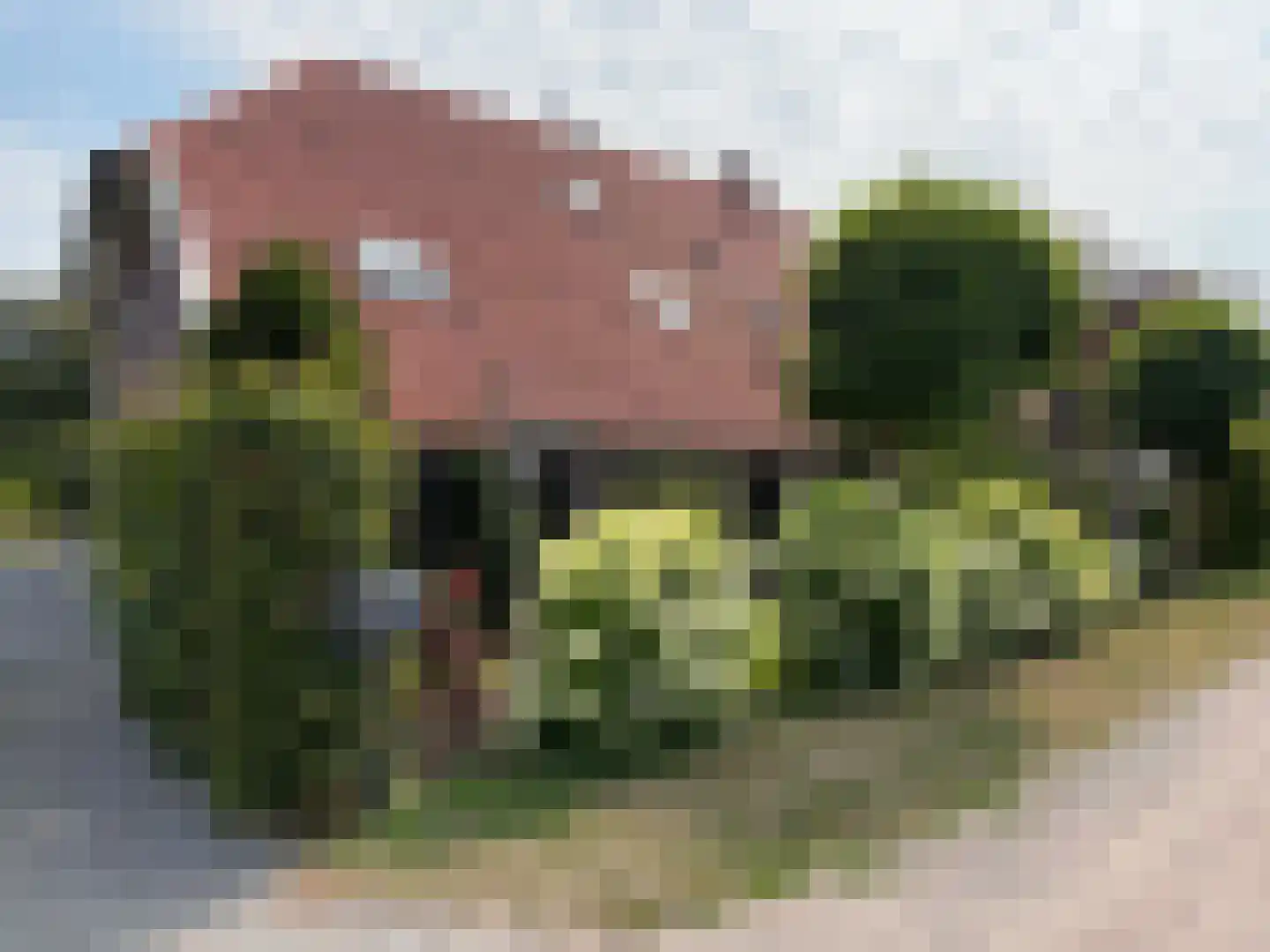 de Bente 35 a Dalen thumbnail 8