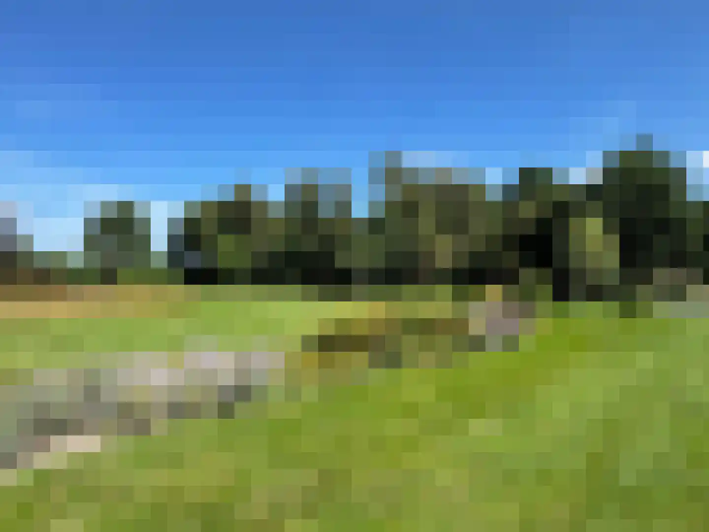 de Bente 35 a Dalen thumbnail 84