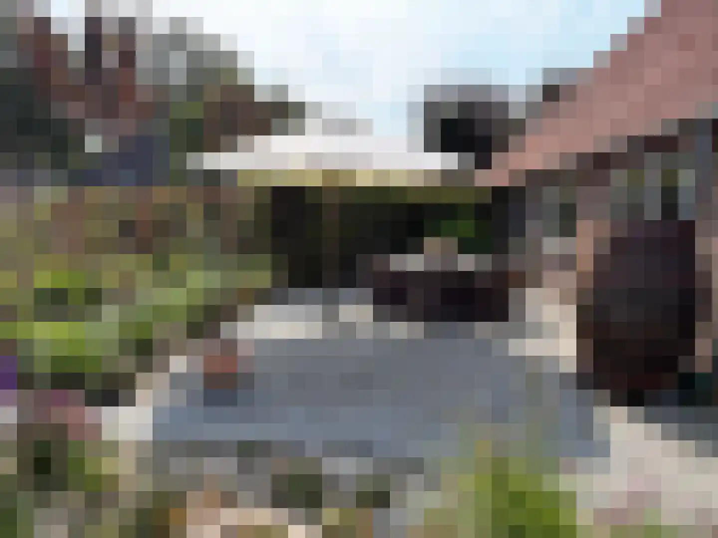 de Bente 35 a Dalen thumbnail 97