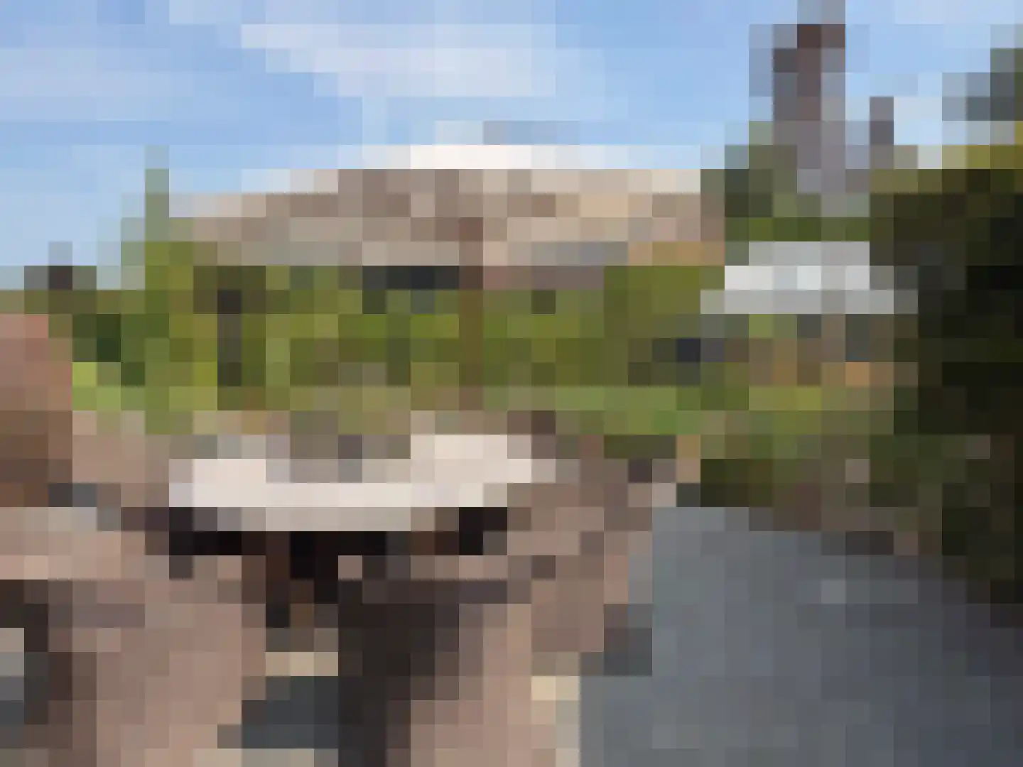 de Bente 35 a Dalen thumbnail 98
