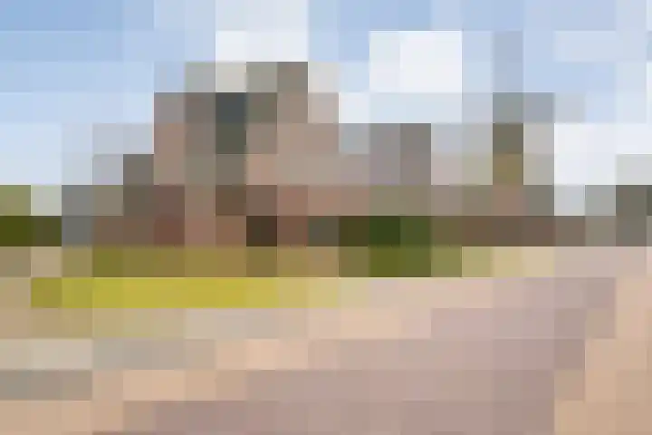 de Bente 36 in Dalen
