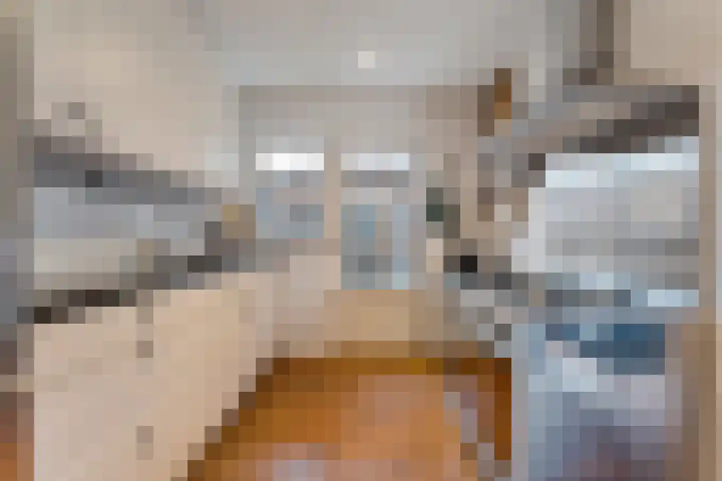 de Bente 36 Dalen thumbnail 26