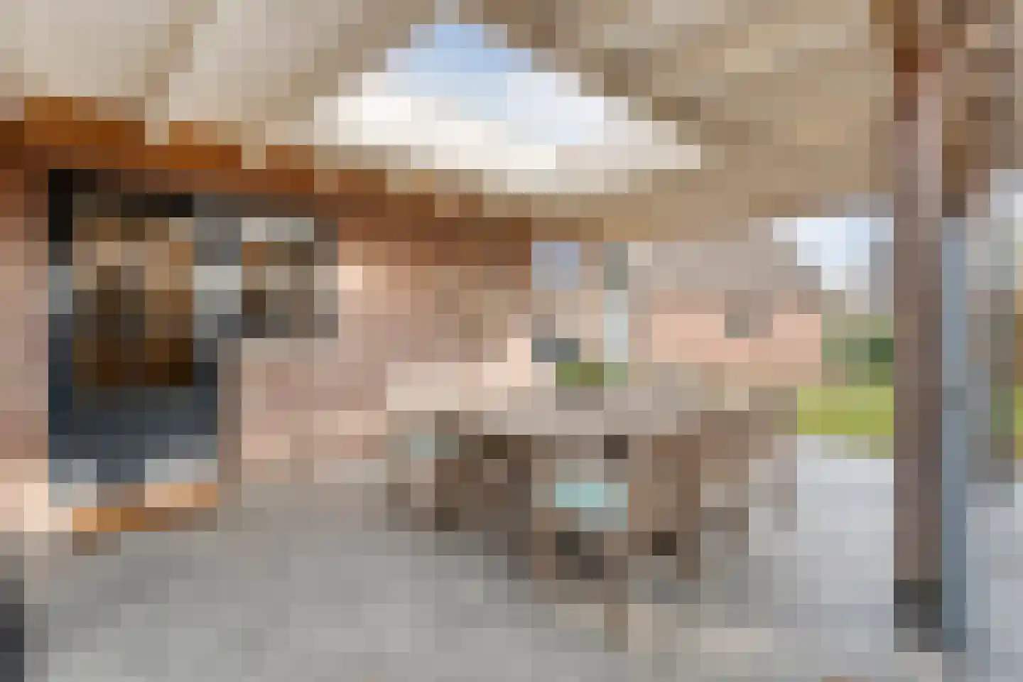 de Bente 36 Dalen foto 3