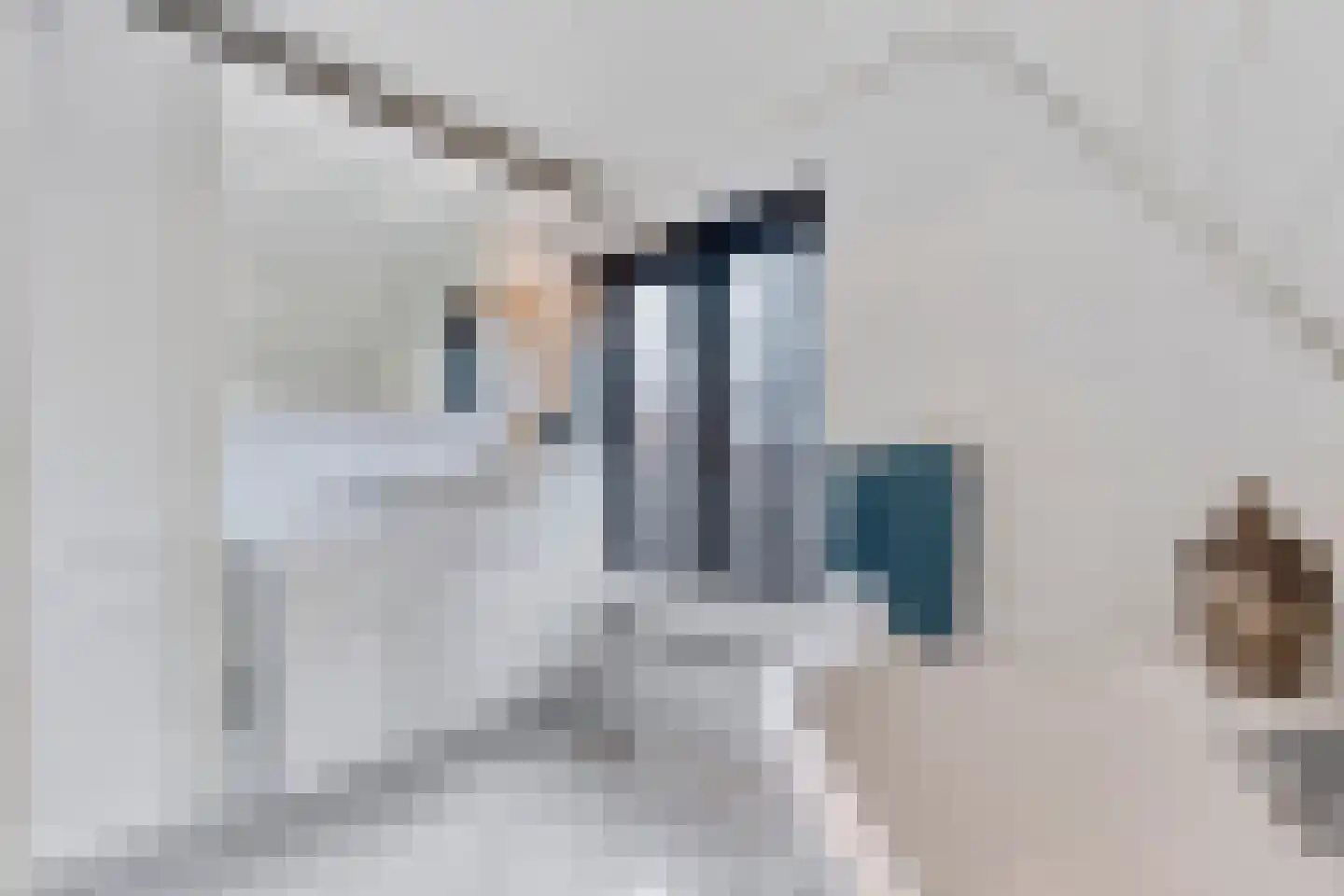 de Bente 36 Dalen thumbnail 42
