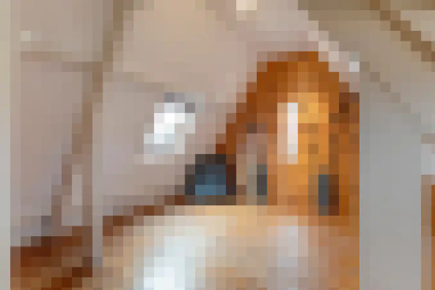 de Bente 36 Dalen thumbnail 48