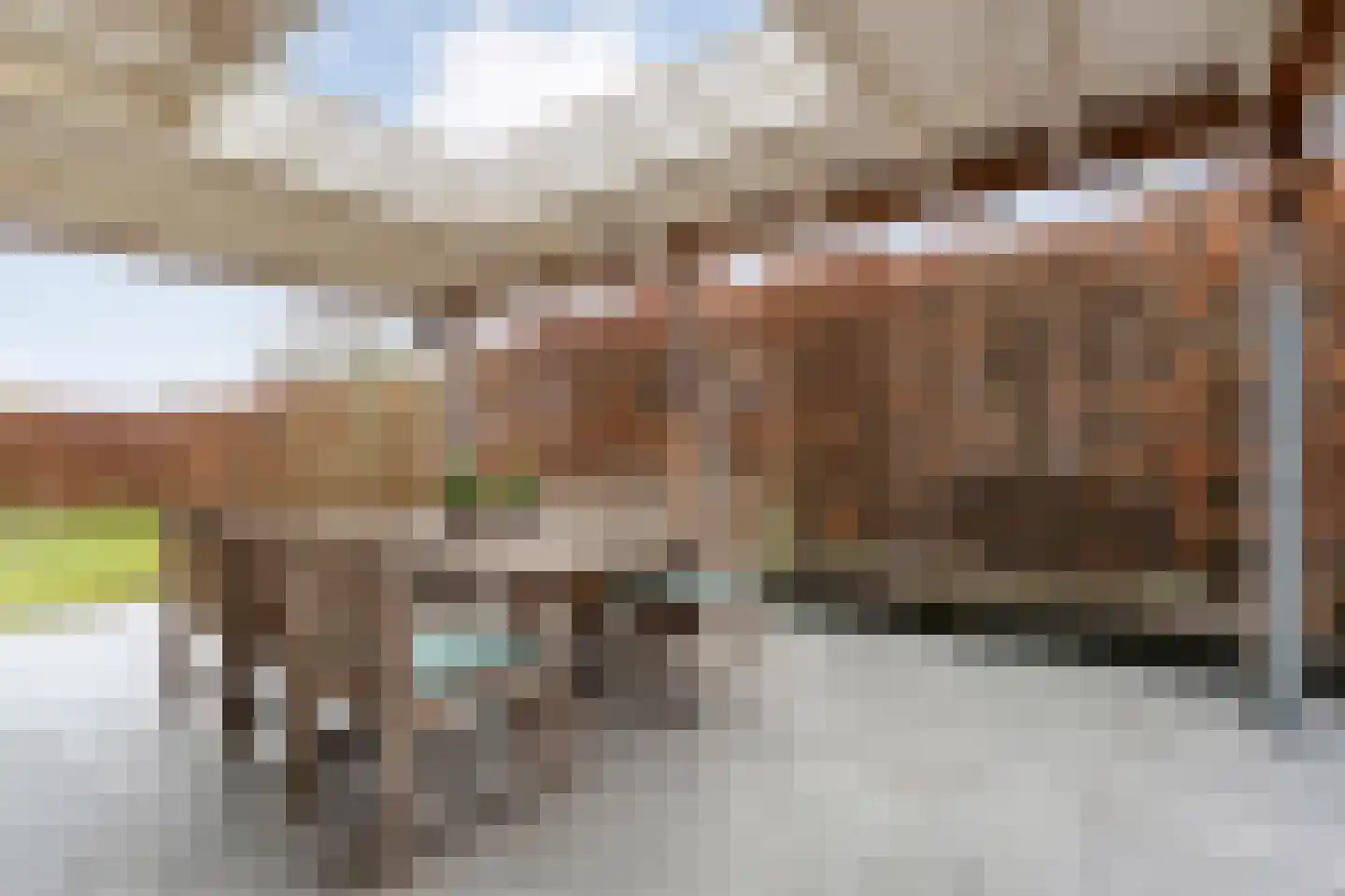 de Bente 36 Dalen thumbnail 53