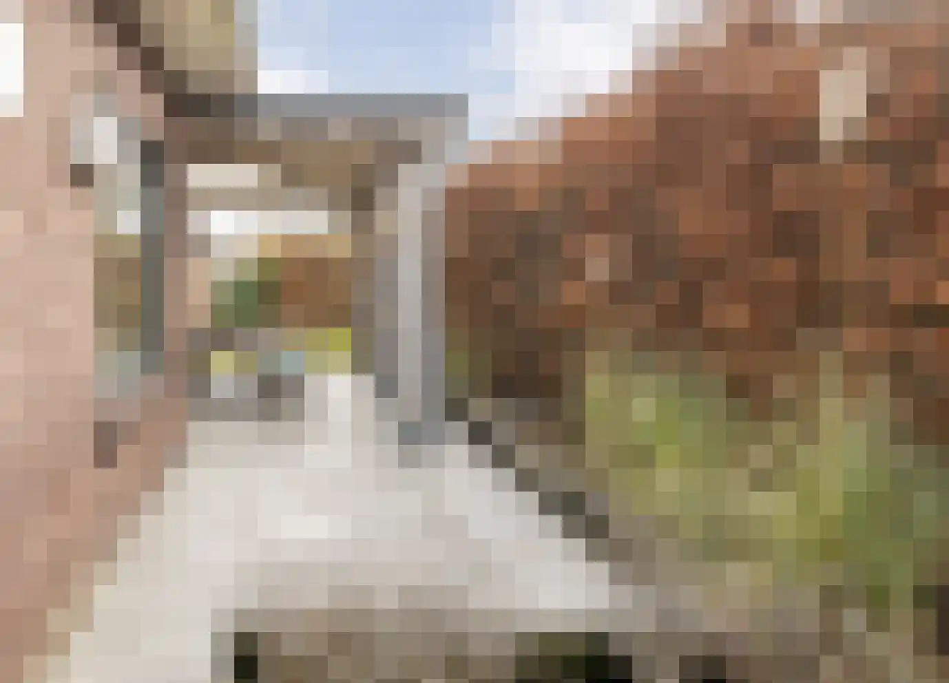 de Bente 36 Dalen thumbnail 55