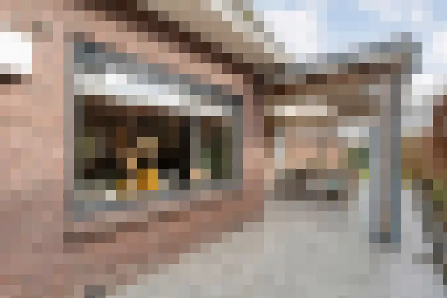 de Bente 36 Dalen thumbnail 56