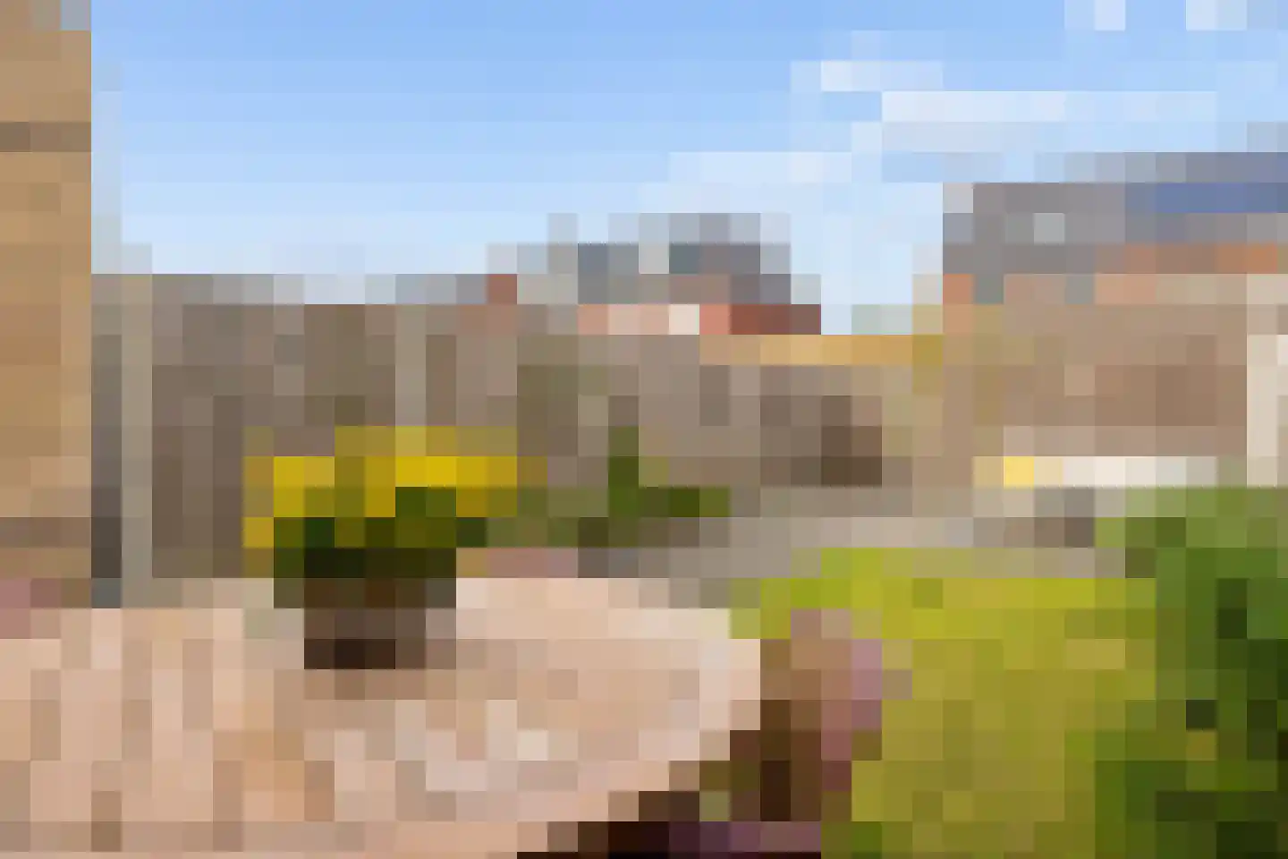 De Bente 36 Zeewolde thumbnail 37